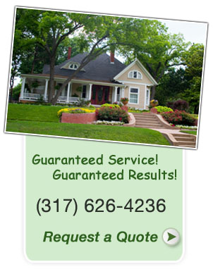 Noblesville, Fishers and Carmel lawn services- grass cutting